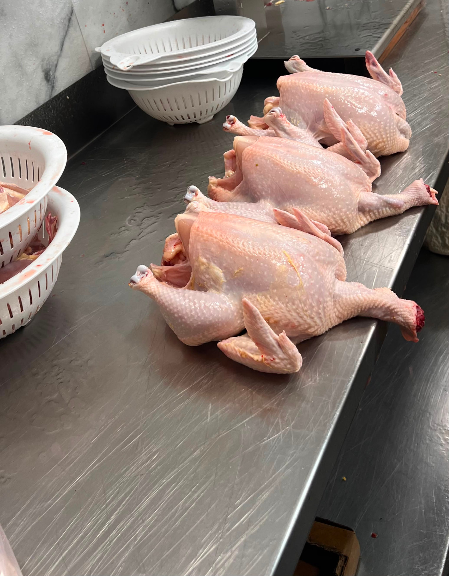 Freshly processed poultry on the prep counter